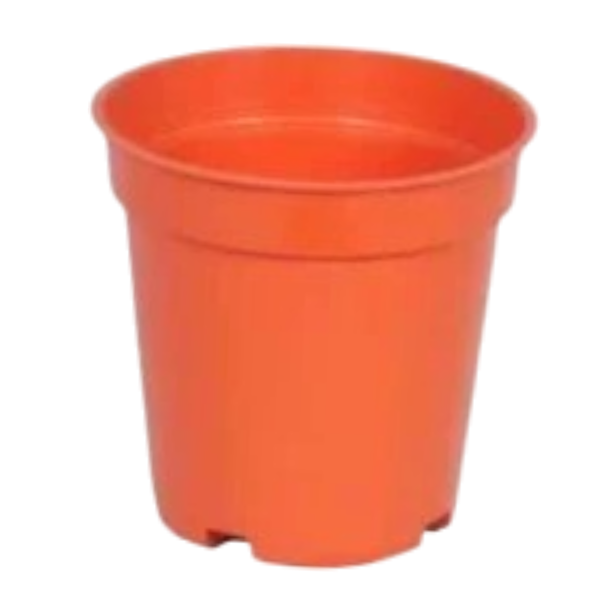 Nursery Pot Size Guide
